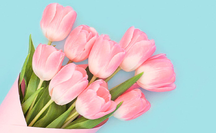 С международным женским днём!