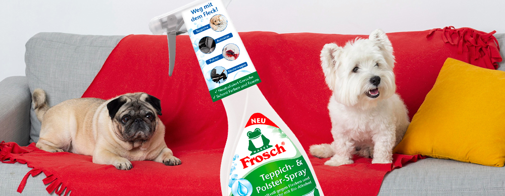 Euromarket: расширение ассортимента профессиональной бытовой химии — FROSCH Пенный пятновыводитель для ковров и обивки