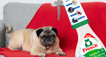 Euromarket: расширение ассортимента профессиональной бытовой химии — FROSCH Пенный пятновыводитель для ковров и обивки